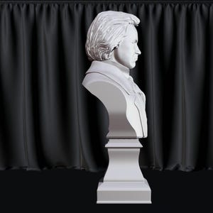 Ludwig van Beethoven bust model printing miniature assembly file stl-obj for 3D Printer afbeelding 4