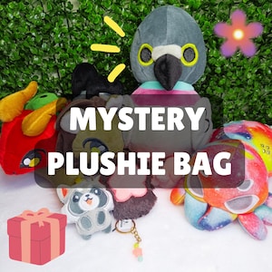 May include: A Mystery Plushie Bag with a variety of plush toys, including a red dragon, a gray bird, a brown raccoon, a pink heart, and a colorful octopus. The bag is decorated with a yellow starburst and the text "Mystery Plushie Bag".