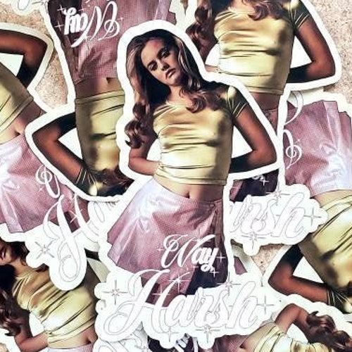Cher Hippie Chic Poster Art Photo Artwork 11x14 or 16x20