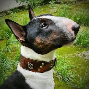 Leather Collar &quot;Anchor Vintage&quot; / Dogcollar / Dog Collar / Collar / Dog / Dog / Leathercollar / Collar / Leather / Collar / Anchor