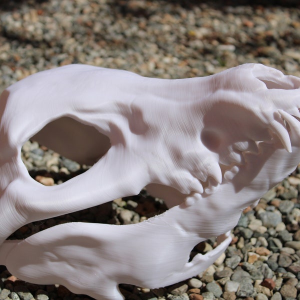 SKULLDOG HEAD BASE fursuit 3D printed