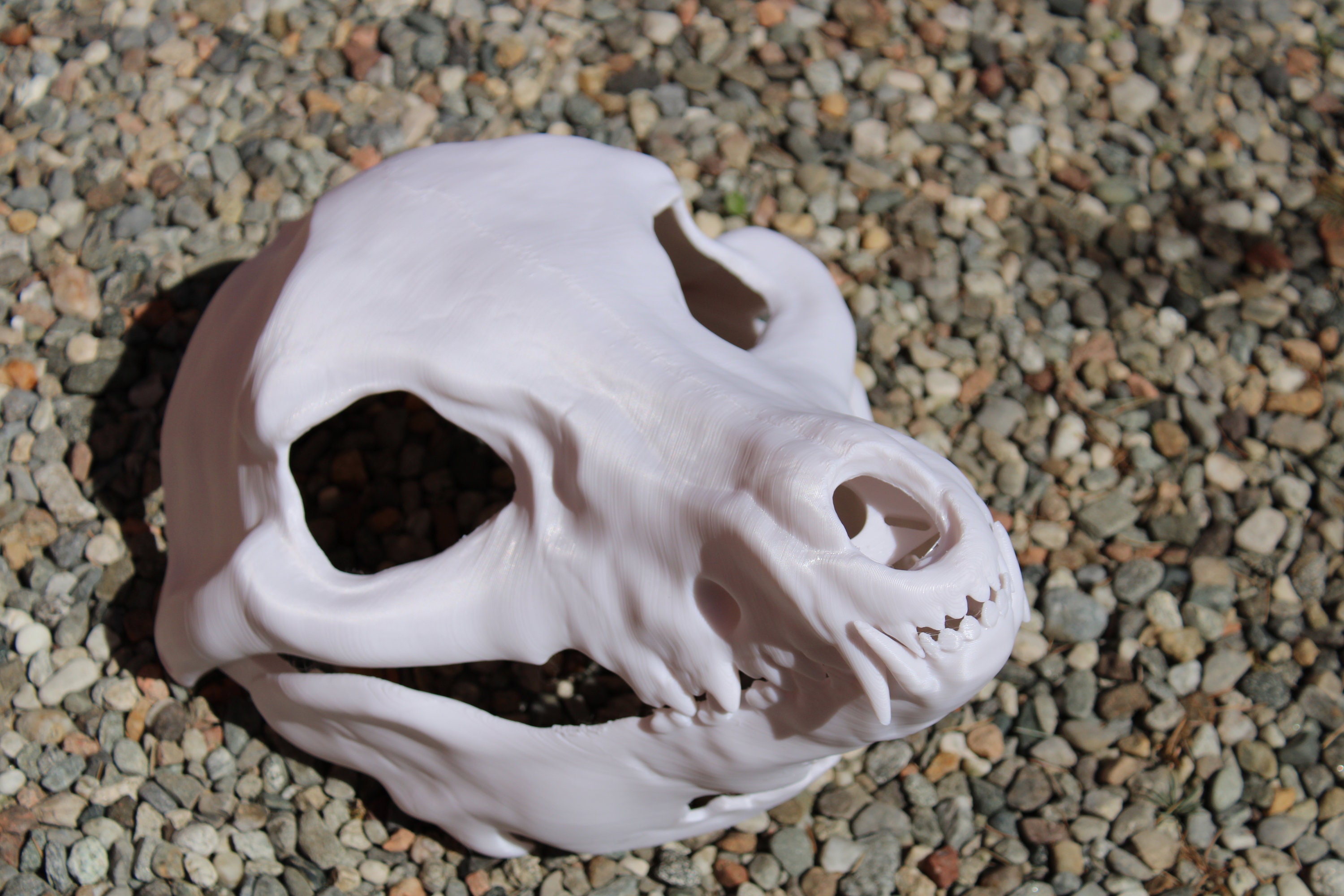 5 Head Skully - 1140 5 Head Skully - 1140