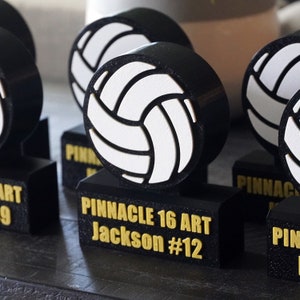 Sports Keepsakes and Mementos Sports Trophy Sports Trophies Sports Memento Player Gift Coaches Gift End of Year Awards