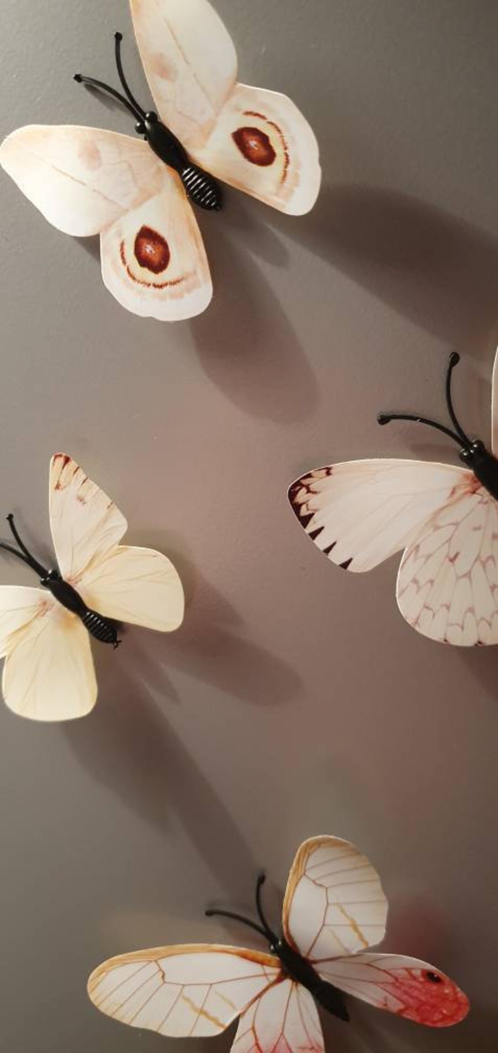 3D Butterfly Wall Art Pack of 12 White Etsy