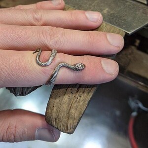 Könnte beinhalten: Ein silberner Schlangenring mit einem detaillierten Design. Der Ring wird an einem Finger getragen und umschließt den Finger.