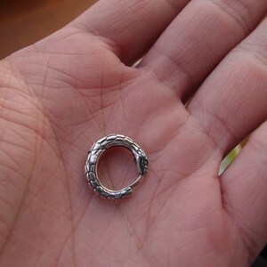 Puede incluir: Un aro de oreja de serpiente de plata. El aro est&aacute; hecho de metal texturizado y tiene un dise&ntilde;o de cabeza de serpiente.