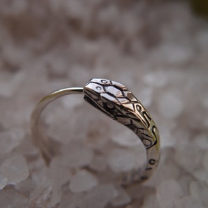 May include: A silver snake ring featuring a detailed snake head design. The ring is made from sterling silver and is a striking statement piece.