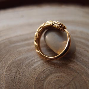 Può includere: Un anello d'oro con un designo dettagliato, che ricorda un serpente o un drago, è mostrato su una superficie di legno.