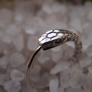 May include: A silver snake ring with a detailed snake head design. The ring is open and has a simple band.