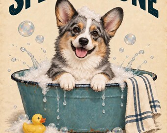 Splash Zone - Lámina decorativa para baño con diseño de Corgi vaquero Blue Merle, tamaño 8x10, 3 versiones.