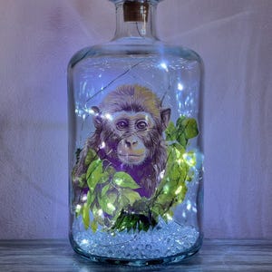 May include: A clear glass bottle with a cork top, containing a small monkey figurine surrounded by green leaves and white fairy lights. The bottle is filled with white decorative stones.