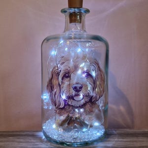 May include: A decorative glass bottle with a cork stopper, showcasing a dog illustration and illuminated by fairy lights. The bottle's base is filled with clear stones, creating a warm, inviting glow.