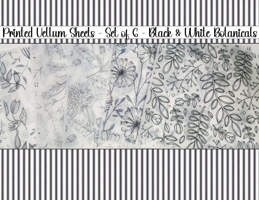 Printed Vellum Sheets/vellum Paper/black and White Botanical Vellum
