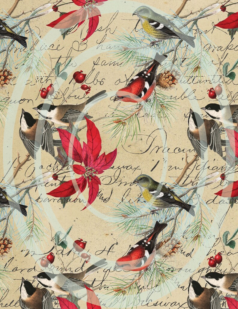 Printed Vellum Sheets/vellum Paper/vellum Paper/birds Etsy