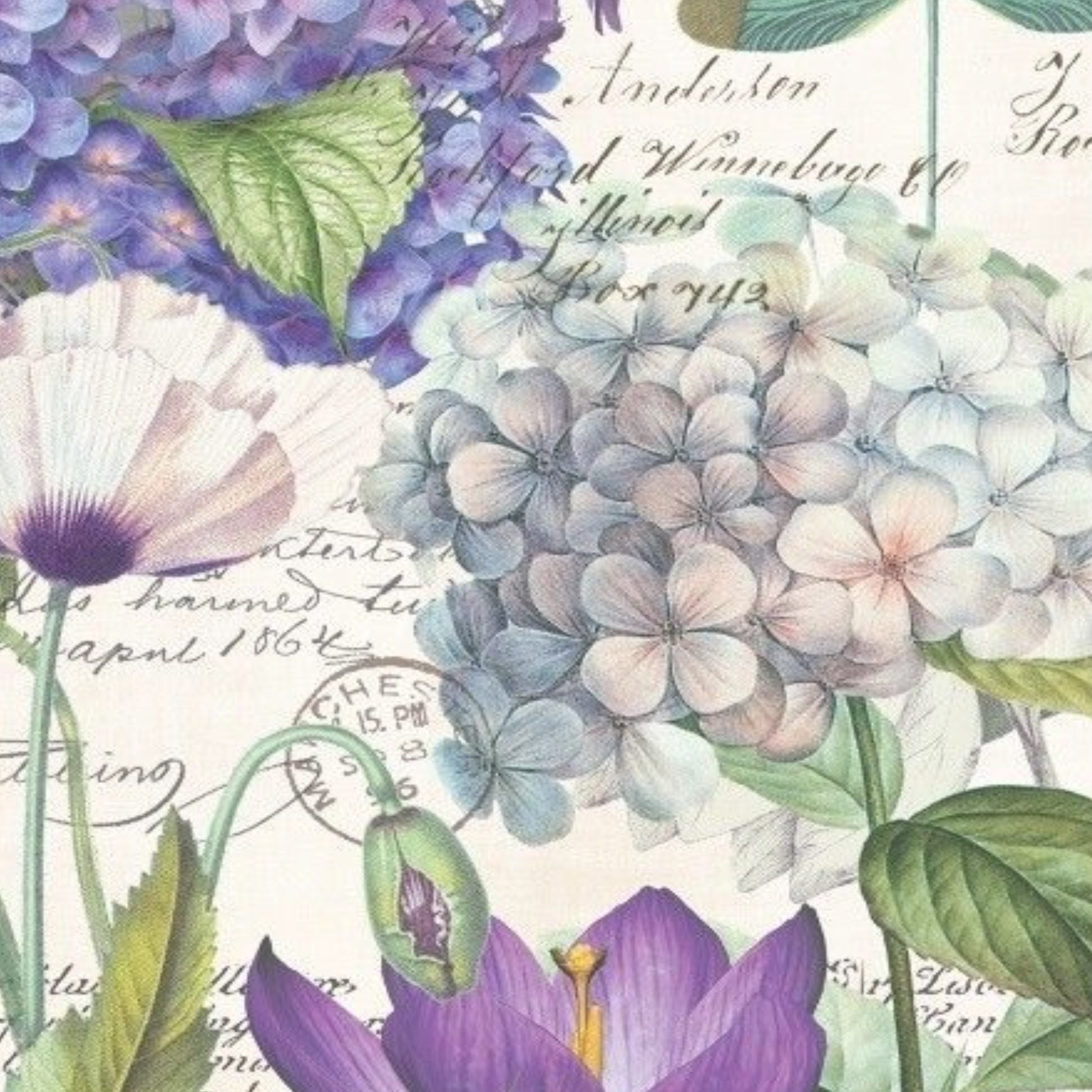 Printed Vellum Sheets/vellum Paper/patterned Vellum/decorative Etsy