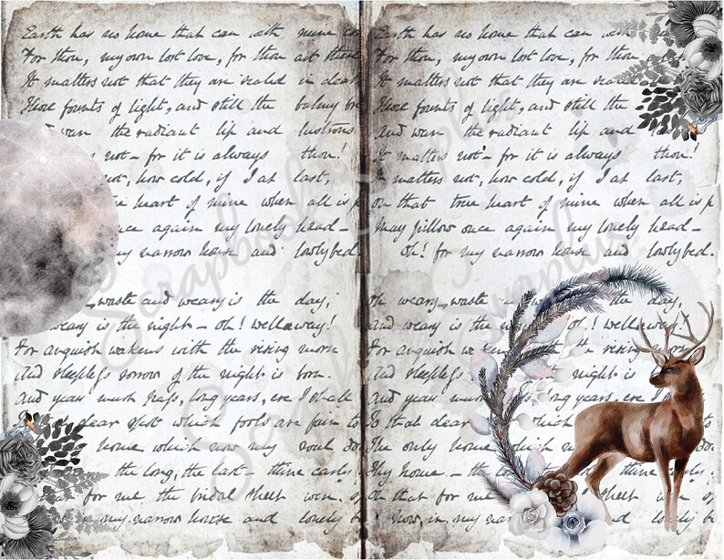 Printed Vellum Sheets/vellum Paper/patterned Vellum/animal Etsy