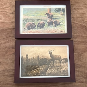 May include: Two rectangular dark brown wooden frames containing vintage postcards. The top frame displays a color illustration of four brown bears in a forest. The bottom frame features a sepia-toned image of an elk with Mount Rainier in the background.