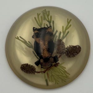 Vintage Owl Resin Paperweight with Natural Elements – Mid-Century Forest Decor