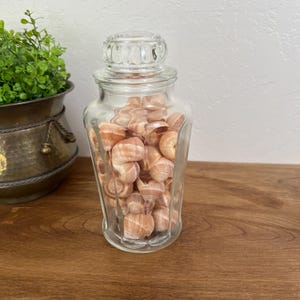 Vintage Glass Apothecary Jar with Seashells, Coastal Beach Decor, Filled Shell Display, Nautical Cottage Accent, Clear Lidded Glass Canister