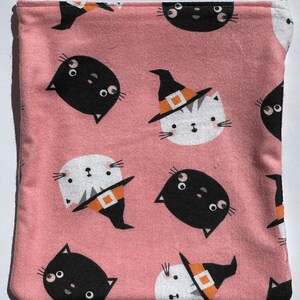 Cats as Witches