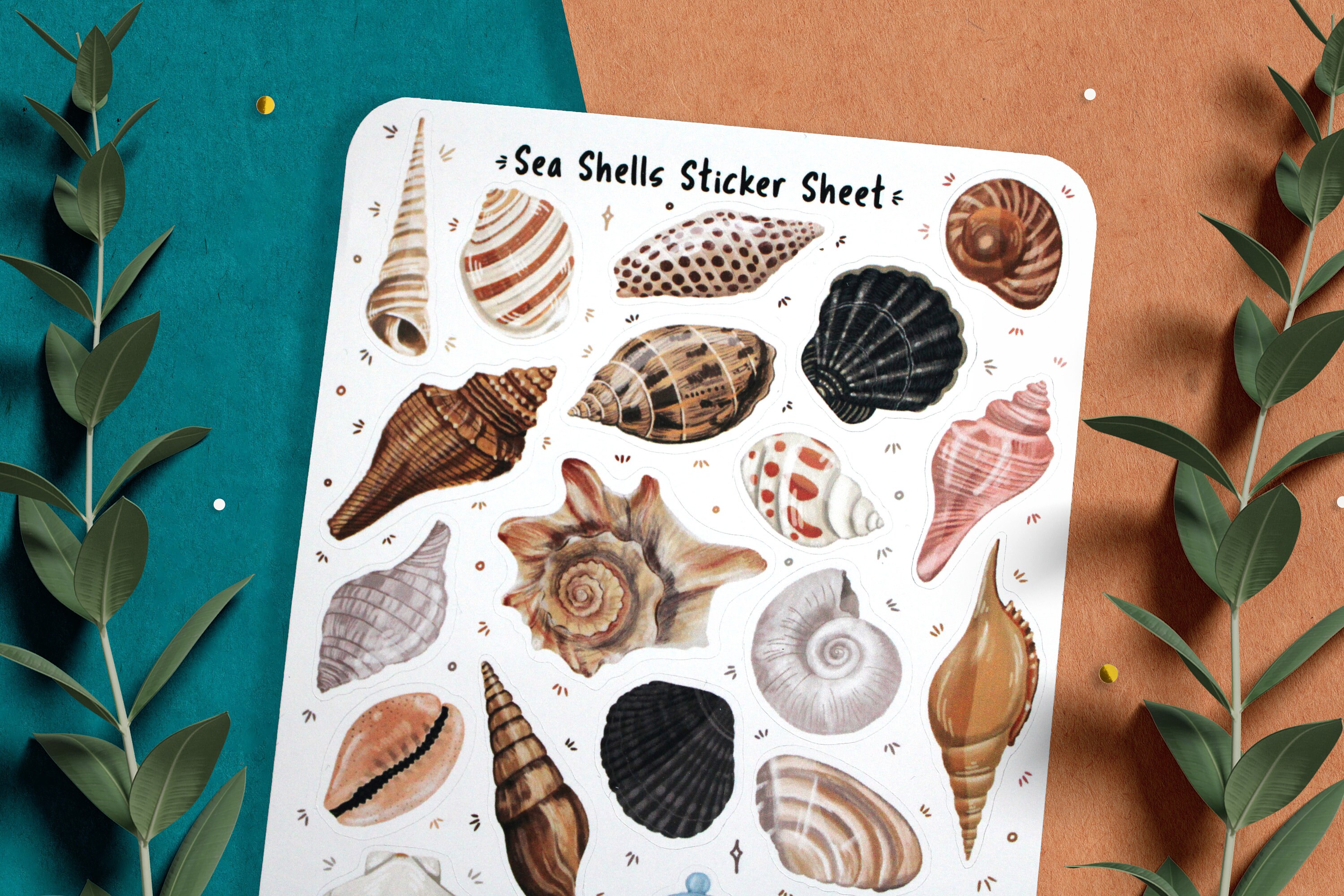 Seaside Shells Sticker Sheet , Planner Stickers, Journal Stickers ...
