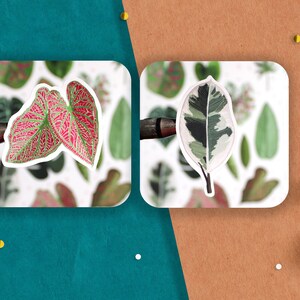 May include: Two sheets of stickers featuring different types of leaves. The first sheet has a pink and green leaf with a white outline. The second sheet has a white, green, and black leaf with a white outline.