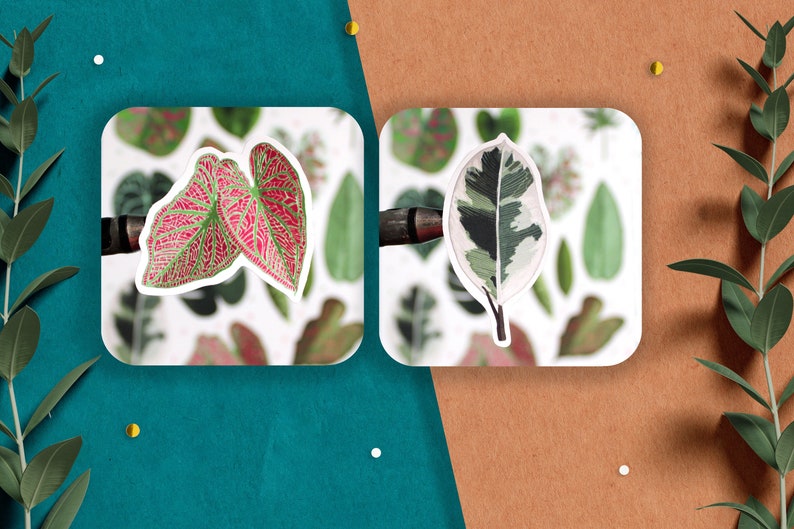 May include: Two sheets of stickers featuring different types of leaves. The first sheet has a pink and green leaf with a white outline. The second sheet has a white, green, and black leaf with a white outline.