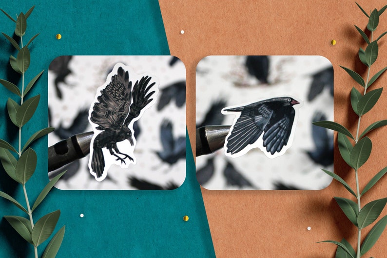 May include: Two black crow stickers on a white background. The crow on the left is perched with its wings spread. The crow on the right is in flight with its wings spread.