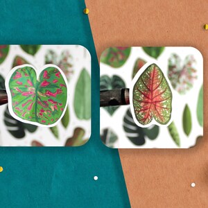 May include: Two sheets of stickers featuring colorful tropical leaf designs. The stickers are on a white background and feature a variety of green, pink, and white leaves.