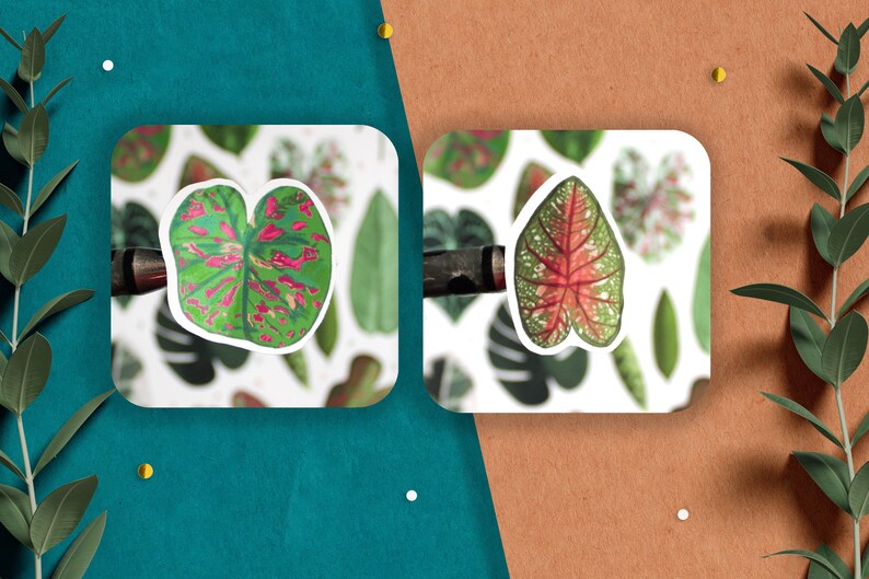 May include: Two sheets of stickers featuring colorful tropical leaf designs. The stickers are on a white background and feature a variety of green, pink, and white leaves.