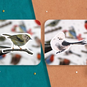 Puede incluir: Dos pegatinas de p&aacute;jaros sobre un fondo blanco. El p&aacute;jaro de la izquierda es verde y amarillo con una cola larga. El p&aacute;jaro de la derecha es blanco con una cola negra y una cabeza esponjosa.