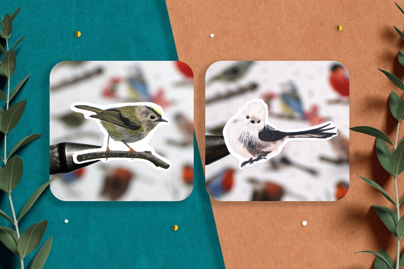 Puede incluir: Dos pegatinas de p&aacute;jaros sobre un fondo blanco. El p&aacute;jaro de la izquierda es verde y amarillo con una cola larga. El p&aacute;jaro de la derecha es blanco con una cola negra y una cabeza esponjosa.