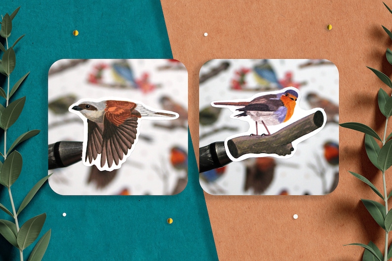Puede incluir: Dos pegatinas de p&aacute;jaros, una de un petirrojo de pecho rojo posado en una rama y otra de un alcaud&oacute;n marr&oacute;n y blanco en vuelo.