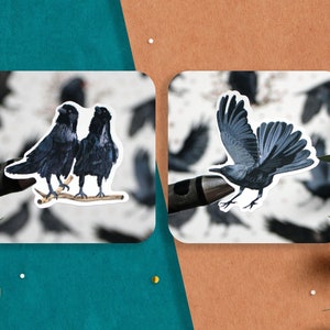 Birds Sticker Pack, Birds Love stickers, Journal stickers, Planner stickers, scrapbooking, Nature stickers, crow Raven pigeon, Birdwatching image 10