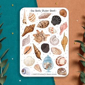Hoja de pegatinas de conchas marinas, pegatinas de planificador, pegatinas de diario, pegatinas de océano, pegatinas de naturaleza, pegatinas de conchas, pegatinas de playa de verano