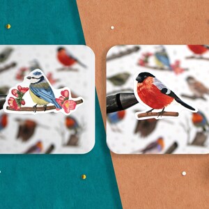 Puede incluir: Dos pegatinas con ilustraciones de p&aacute;jaros. La primera pegatina muestra un p&aacute;jaro azul posado en una rama con flores rosas. La segunda pegatina muestra un petirrojo posado en una rama.