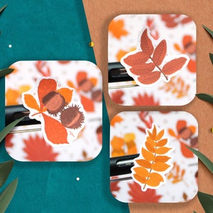 May include: Three autumn-themed stickers featuring different leaf designs. The first sticker shows a red and orange leaf with three brown chestnuts. The second sticker shows a red leaf with a stem and multiple branches. The third sticker shows an orange leaf with a stem and multiple branches.