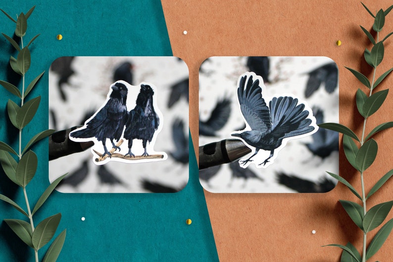 May include: Two black ravens perched on a branch, and a single black raven in flight. All three ravens are depicted against a white background with a blurred image of many ravens in the background.