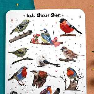 Puede incluir: Una hoja de pegatinas con fondo blanco que presenta una variedad de p&aacute;jaros coloridos. La hoja se titula "Birds Sticker Sheet".