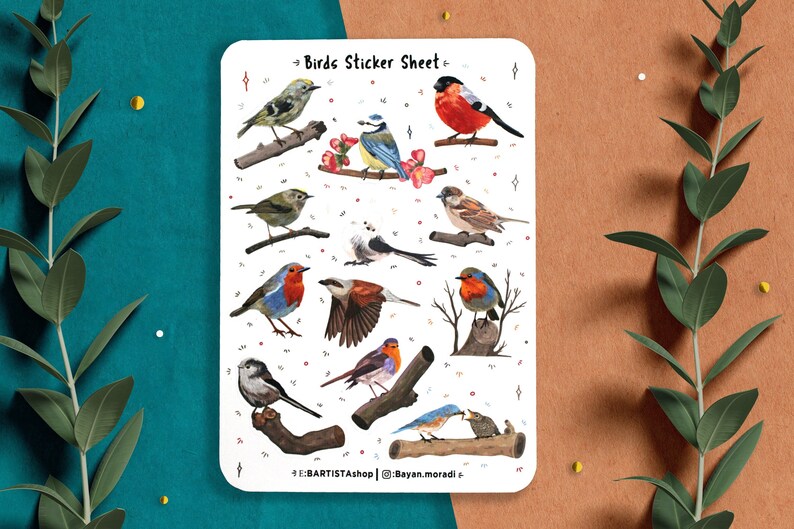 Puede incluir: Una hoja de pegatinas con diferentes p&aacute;jaros coloridos posados en ramas. Los p&aacute;jaros est&aacute;n representados en un estilo realista con plumas y picos detallados. La hoja de pegatinas incluye una variedad de especies de p&aacute;jaros, incluyendo petirrojos, p&aacute;jaros azules y gorriones. La hoja de pegatinas es perfecta para a&ntilde;adir un toque de naturaleza a tus diarios, planificadores o port&aacute;tiles.