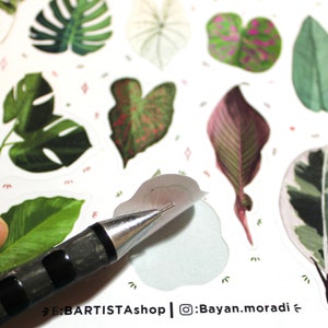 May include: A sheet of stickers featuring various tropical leaf designs. The stickers are printed on white paper and have a glossy finish. The stickers are being peeled off the sheet with a tool.