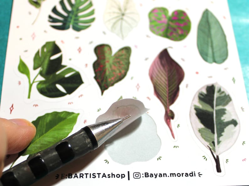 May include: A sheet of stickers featuring various tropical leaf designs. The stickers are printed on white paper and have a glossy finish. The stickers are being peeled off the sheet with a tool.