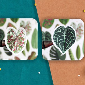 May include: Two sticker sheets featuring different types of green leaves. The first sheet has a pink and green leaf with white spots. The second sheet has a dark green leaf with a lighter green vein pattern.