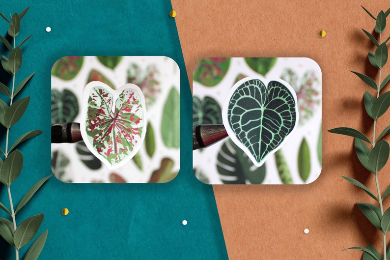 May include: Two sticker sheets featuring different types of green leaves. The first sheet has a pink and green leaf with white spots. The second sheet has a dark green leaf with a lighter green vein pattern.