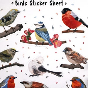 Puede incluir: Una hoja de pegatinas con diez ilustraciones de p&aacute;jaros coloridos. Los p&aacute;jaros est&aacute;n posados en ramas y rodeados de peque&ntilde;os puntos rojos, blancos y azules. La hoja se titula "Birds Sticker Sheet".