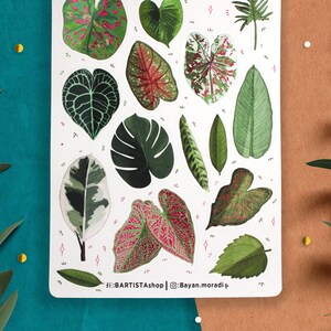 May include: A sheet of stickers featuring various green and pink tropical leaves. The stickers are on a white background with pink and white dots. The text "#BARTISTAshop | @Bayan.moradi" is at the bottom of the sheet.