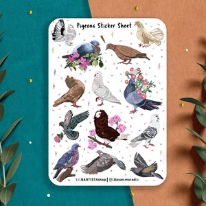 Feuille d'autocollants de pigeon, autocollants d'oiseau, autocollants de planificateur, autocollants de journal, autocollants floraux, autocollants de pigeons, autocollants de nature, printemps