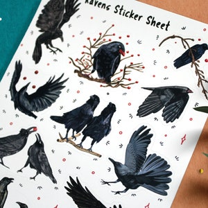 May include: A sticker sheet with a white background and black ravens in various poses. The sheet is titled "Ravens Sticker Sheet".