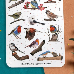 Puede incluir: Una hoja de pegatinas con diferentes p&aacute;jaros coloridos posados en ramas. Los p&aacute;jaros est&aacute;n representados en un estilo realista con plumas y picos detallados. Las pegatinas son perfectas para a&ntilde;adir un toque de naturaleza a diarios, planificadores u ordenadores port&aacute;tiles.