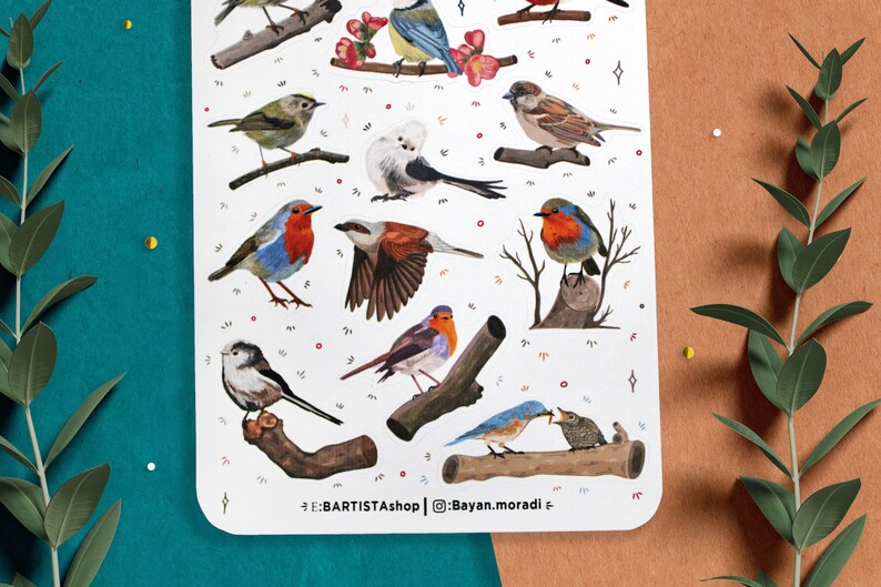Puede incluir: Una hoja de pegatinas con diferentes p&aacute;jaros coloridos posados en ramas. Los p&aacute;jaros est&aacute;n representados en un estilo realista con plumas y picos detallados. Las pegatinas son perfectas para a&ntilde;adir un toque de naturaleza a diarios, planificadores u ordenadores port&aacute;tiles.